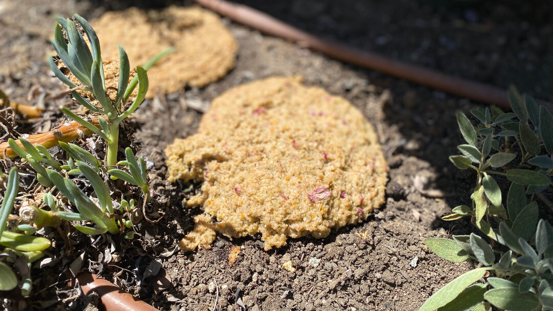 Make Easy Compost That Smells Good