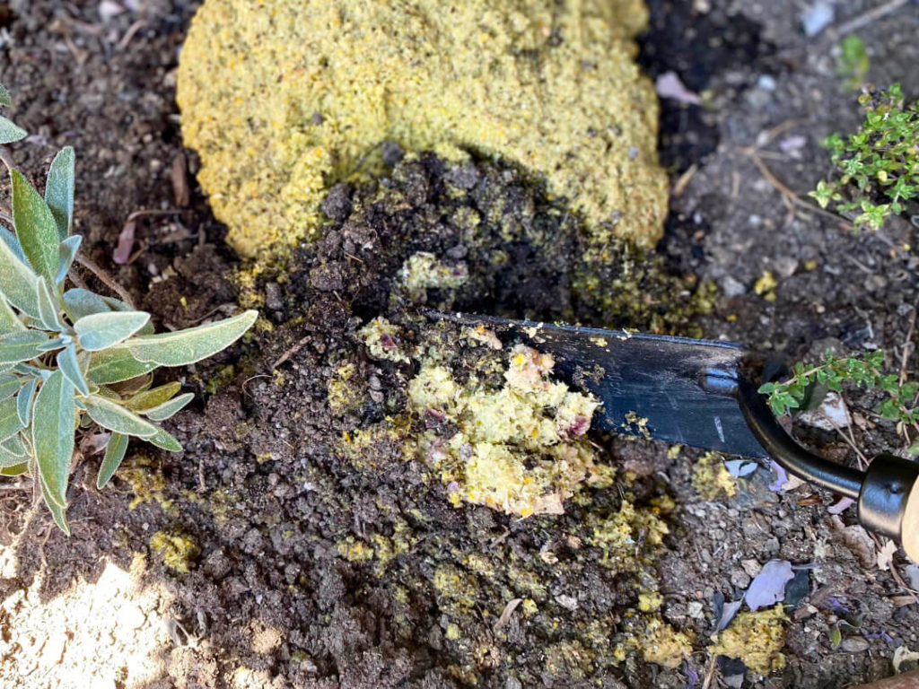 Mix the fresh compost pesto into the soil