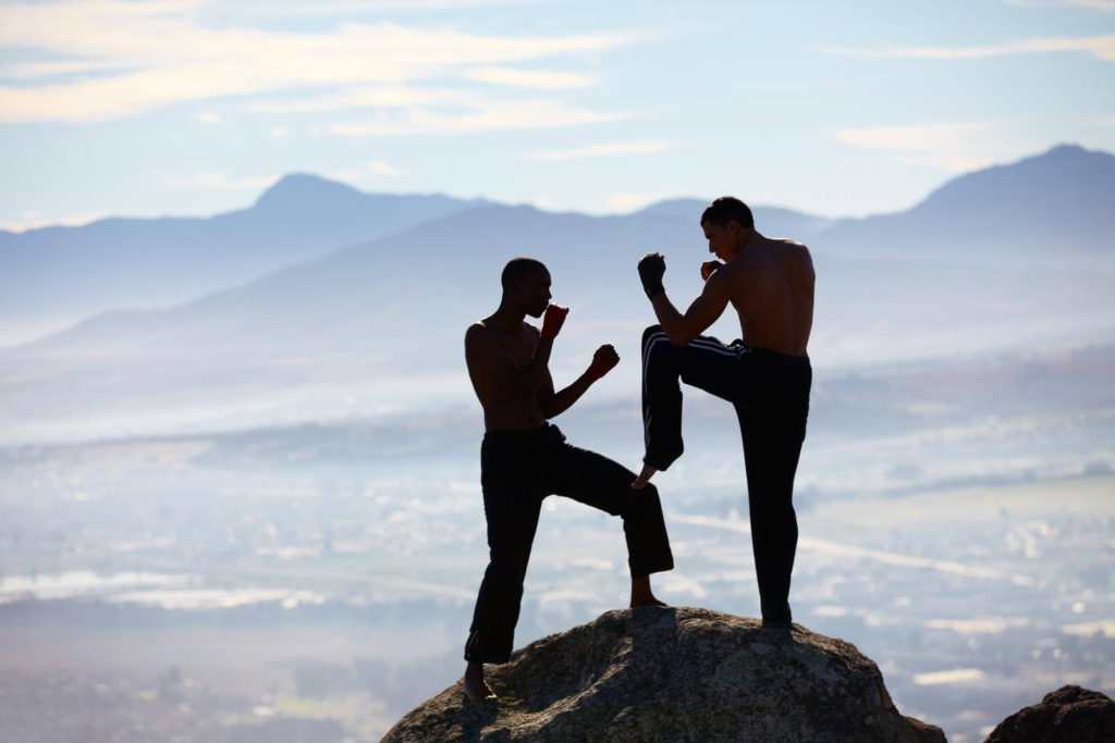 Whole body engagement in a agile boxing fight