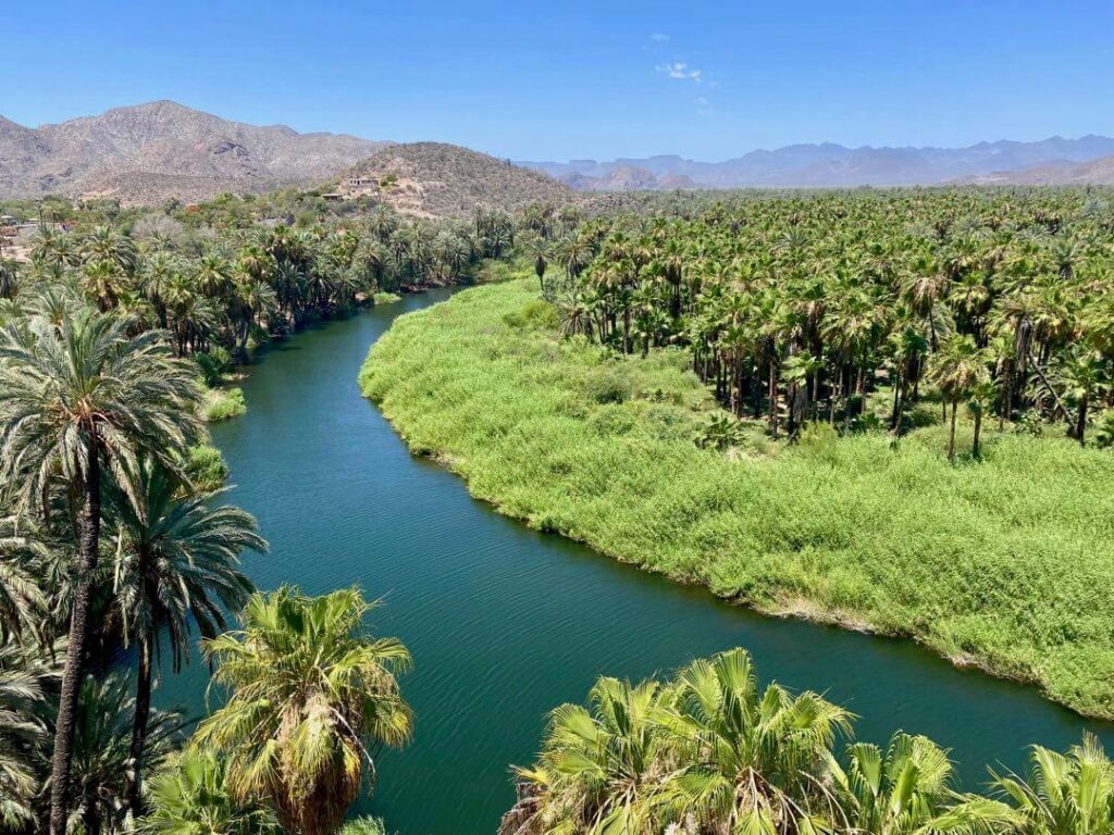 River palm tree oasis of Mulege in the middle of desert Baja California Sur, Mexico