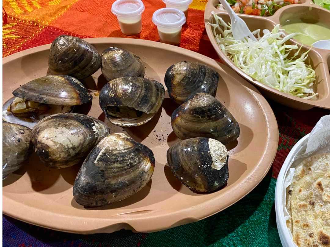 Grilled almejas chocolatas (chocolate clams) with salsa and tortillas in Loreto Mexico