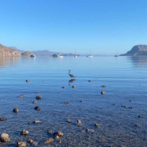 Boats, birds, rocks and calm water in Loreto