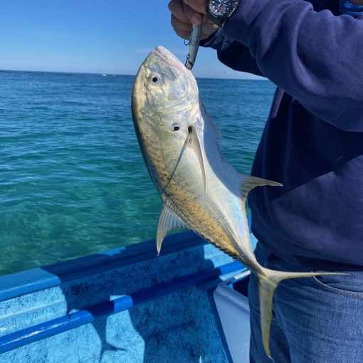 Going fishing is easy in Loreto