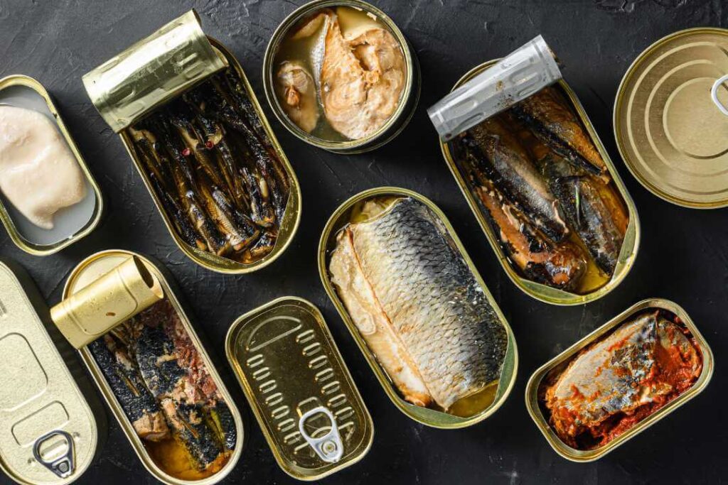 A variety of canned fish or tinned fish - saury, mackerel, sprats, sardines, pilchard, squid, tuna