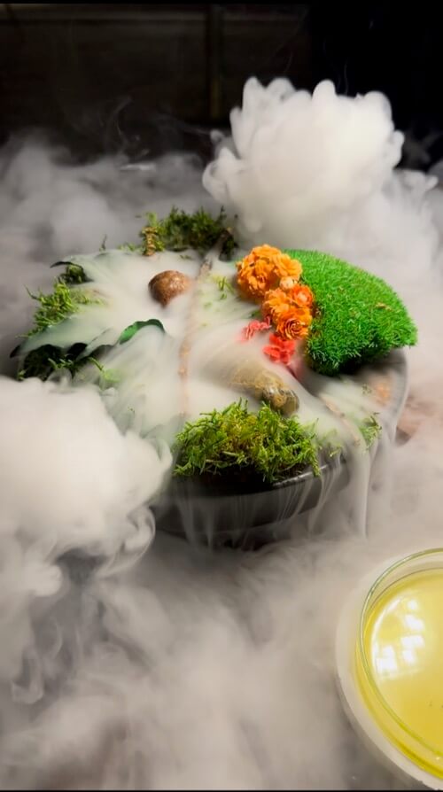 A sensational experience of food from the forest in Croatia at Torero Restaurant in Zagreb, served a 'forest' setting with dry ice mimicking the fog