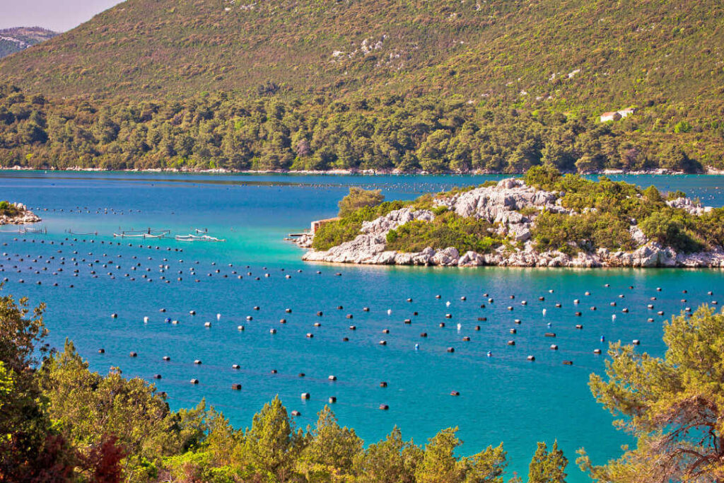 Oyster farm with floating cages in Ston bay in Ston, Croatia