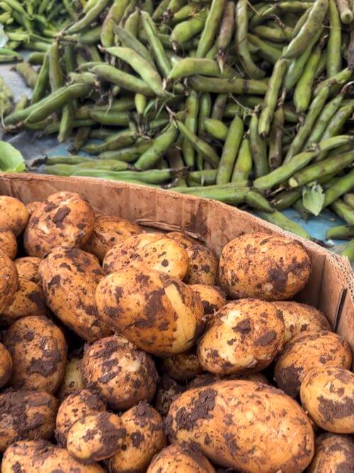 Super fresh potato and fava beans (broad beans) at Zadar's open farmers market in Croatia