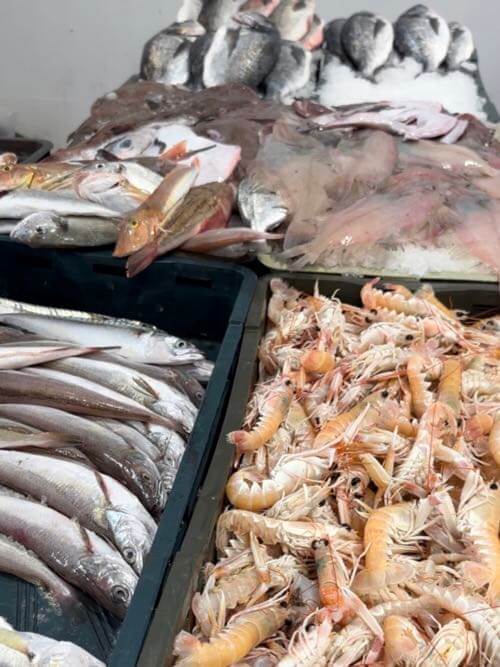 Super fresh local langoustine/skampi/scampi, fish, squid and seafood are fresh and abundant in Zadar fish market in Croatia