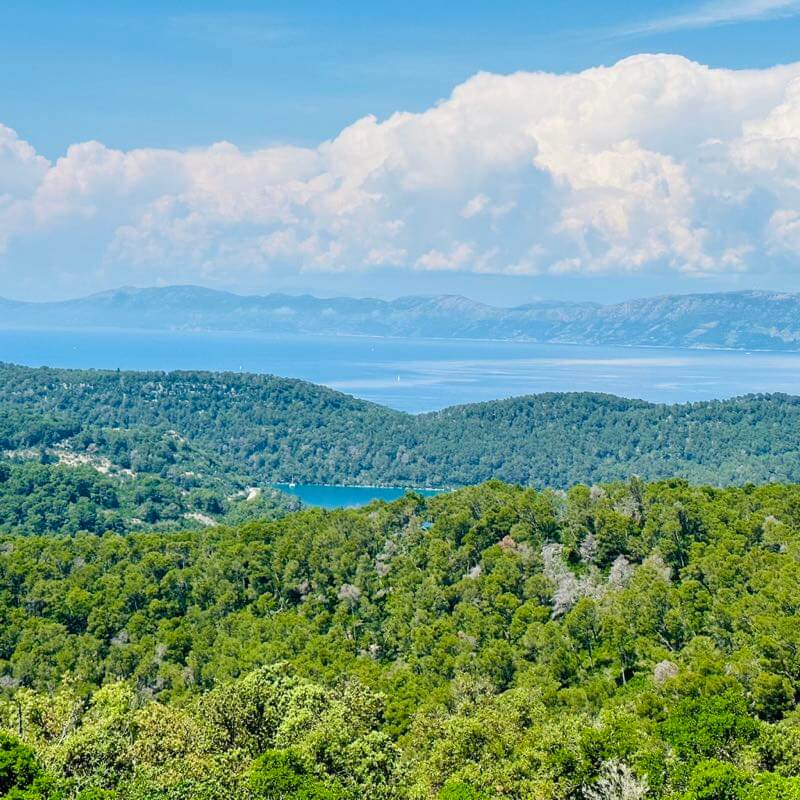 Aerial view of lake, forest, Adriatic sea and Dalmatian coast from Mt Montokuc in Mljet National Park, Croatia