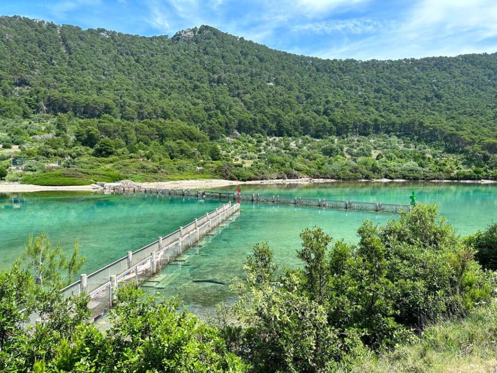 Soline channel dam Mljet National Park, Croatia for catching waste brought by currents from Adriatic sea