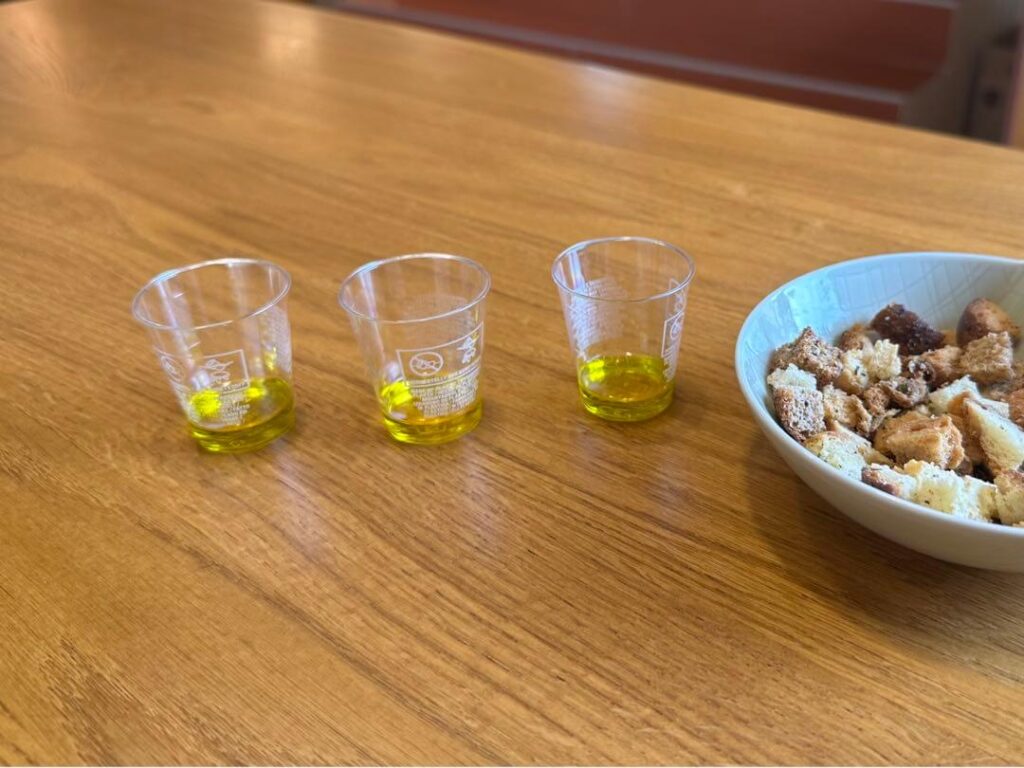 Olive oil tasting at Ipsa in Istra Croatia