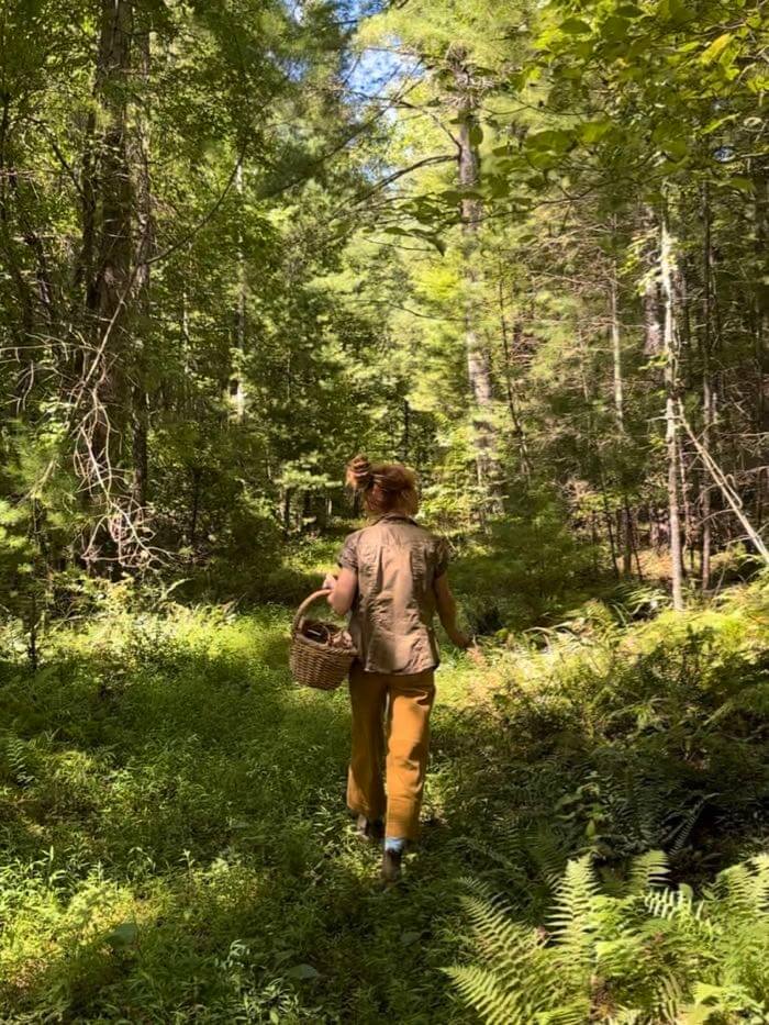 No Taste Like Home's foraging tour (wild food tour) searching for mushrooms in the woods, Asheville, North Carolina